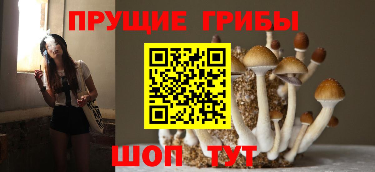 Галлюциногенные грибы мицелий  Вход с VPN  Верхний Уфалей  Псилоцибиновые грибы мицелий 
